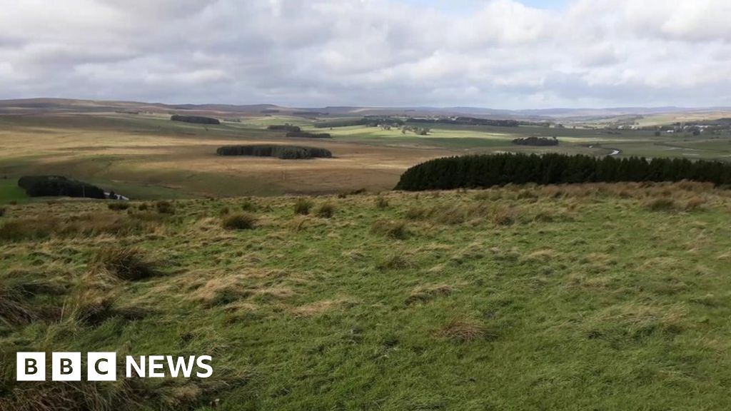 Forestry England buys Northumberland plot for woodland