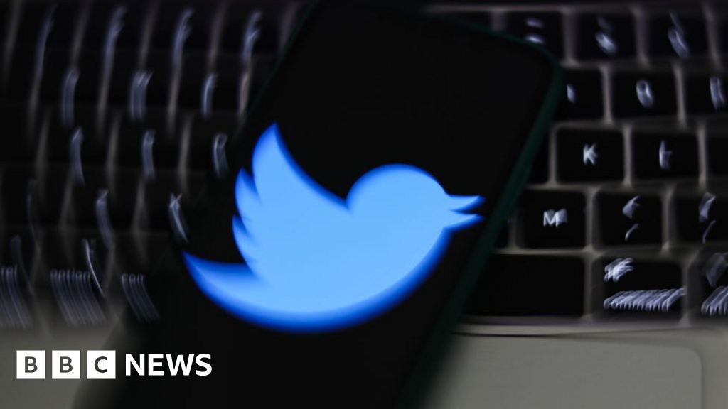Twitter whistleblower questions firm’s bot count