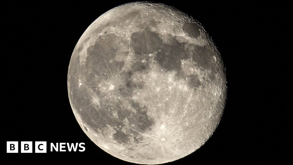 What's happening this week?