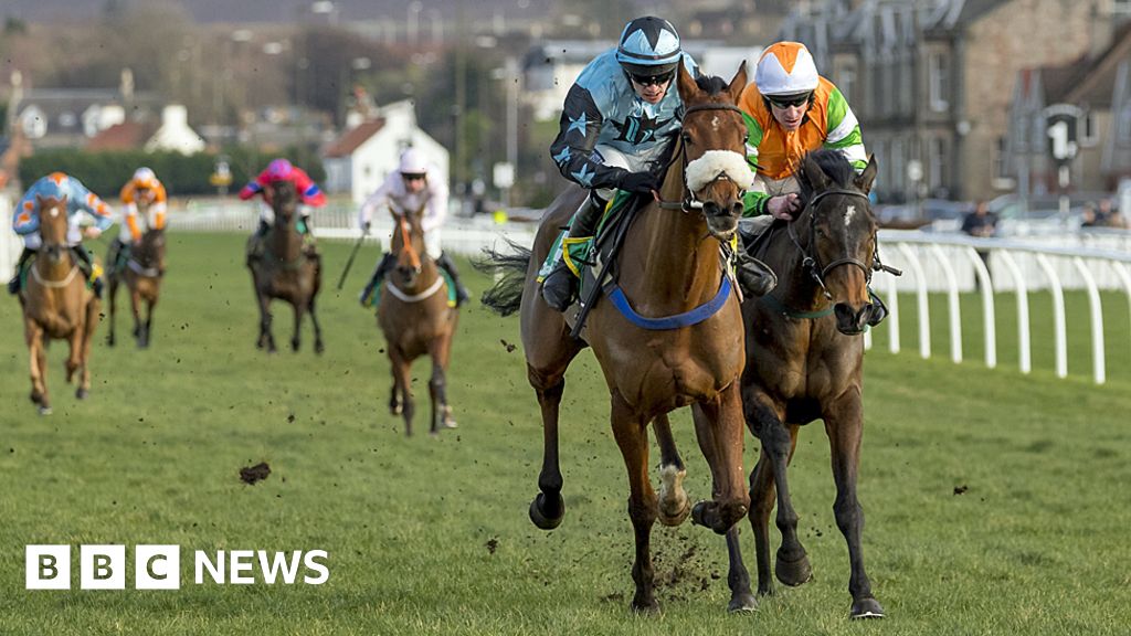 horse-racing-college-course-comes-under-starter-s-orders-bbc-news