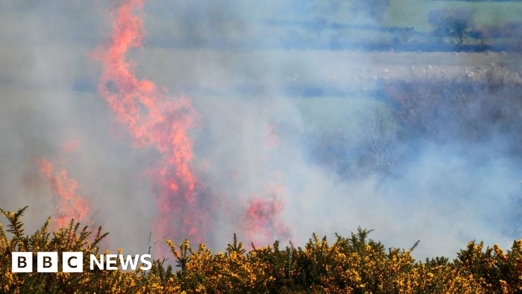 Large Dartmoor fire was accidental, says fire service - BBC News