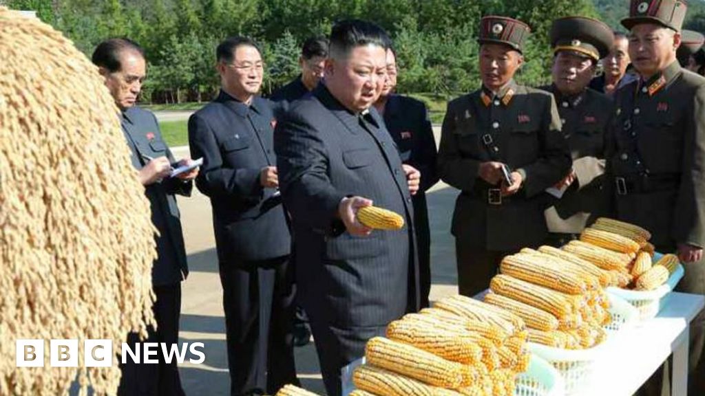North Korea has suffered deadly famines in the past and now its leader, Kim Jong-un, has warned of severe food shortages ahead. The price for a kilo o