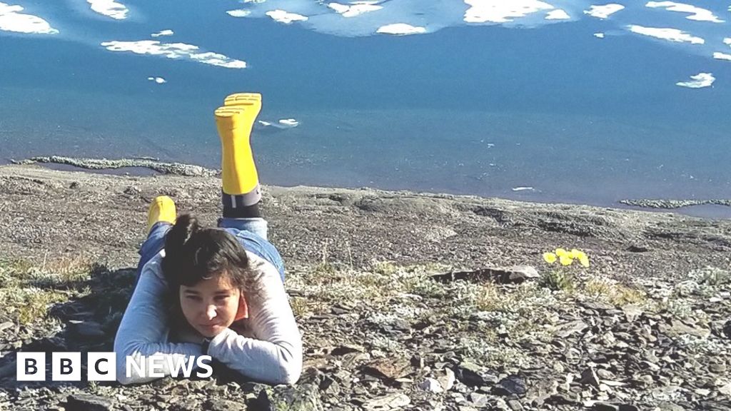 ‘My toy walrus waited 25 years in the Arctic’ - BBC News