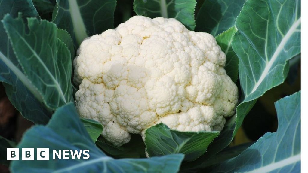 Cauliflower shortages as extreme weather kills crops