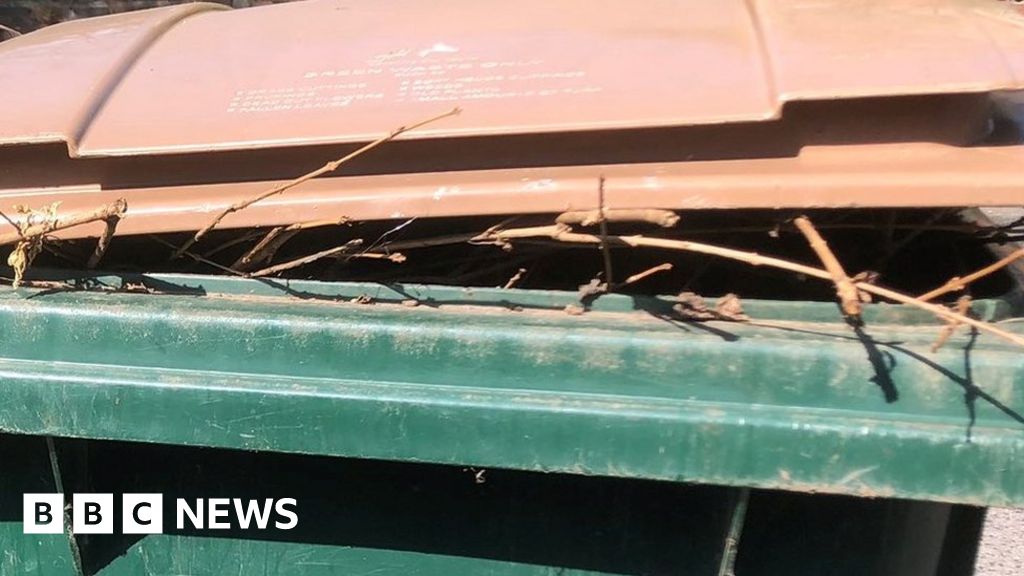 Covid Coventry garden waste collections suspended as staff isolate