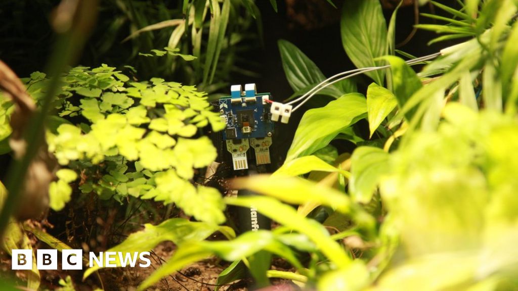 Plant 'takes' world's first selfie in London Zoo experiment