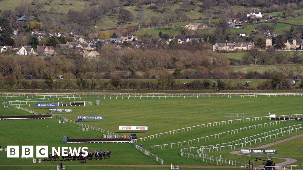 Tribute Bands Festival for the opposition of the Council Tribute Bands Festival for the opposition of the Council