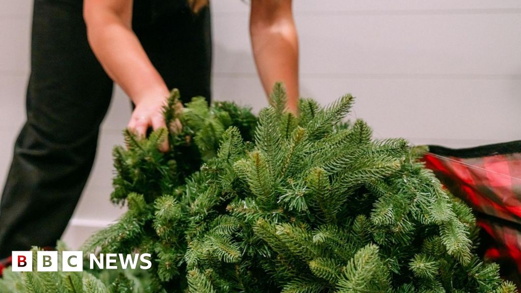 'I can get my Christmas tree order' - firms give sigh of relief at tariff truce
