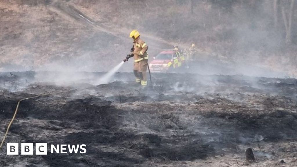 Dorset heath fires due to 'human intervention', fire service says