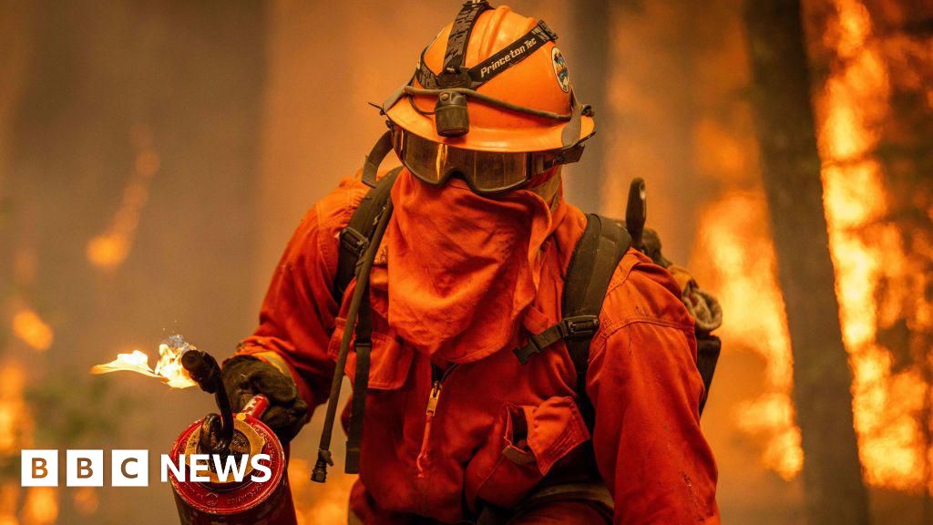 Ratusan narapidana penjara California memadamkan kebakaran hutan