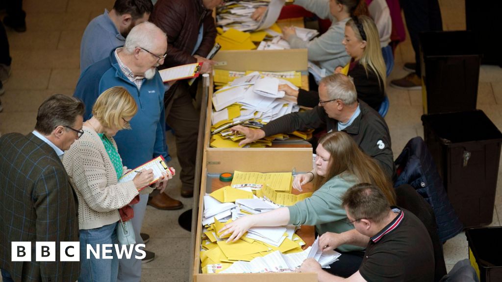 Ireland election: Counting process under way in council poll – BBC News