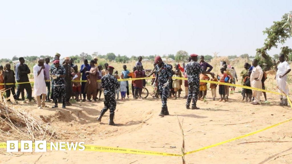 US launches strikes against Islamic State in Nigeria