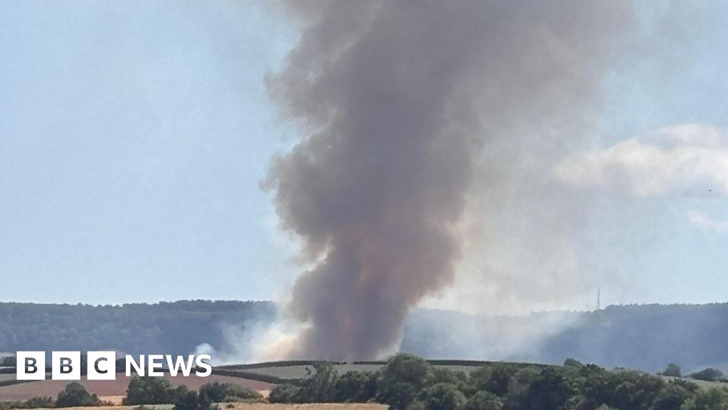 Firefighters Combat Large Field Fires Across Isle of Wight, Devon, Essex
