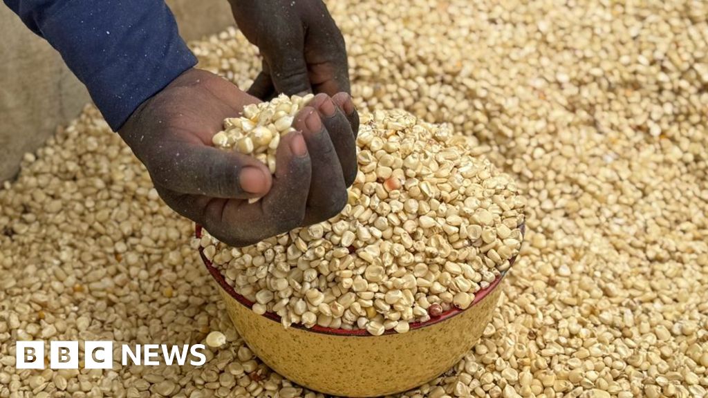 Aid cuts will push Nigerians into arms of Boko Haram militants, WFP warns