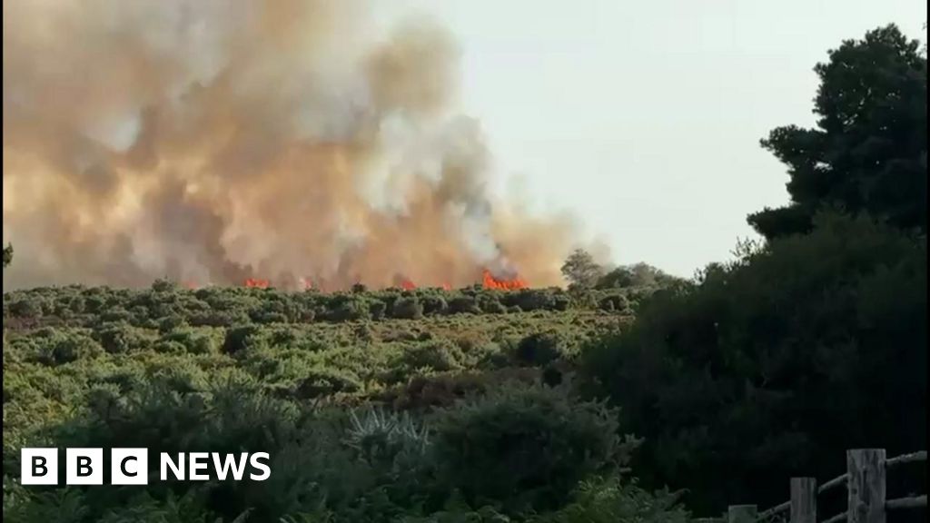 Flames sweep across heathland after van fire
