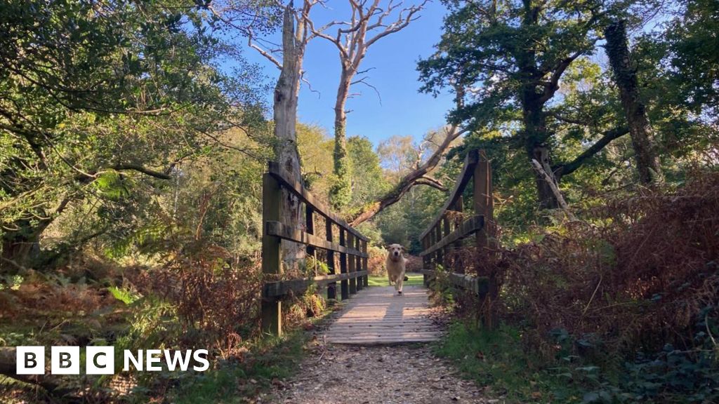 Steyning Scandals Walk Scheduled for October