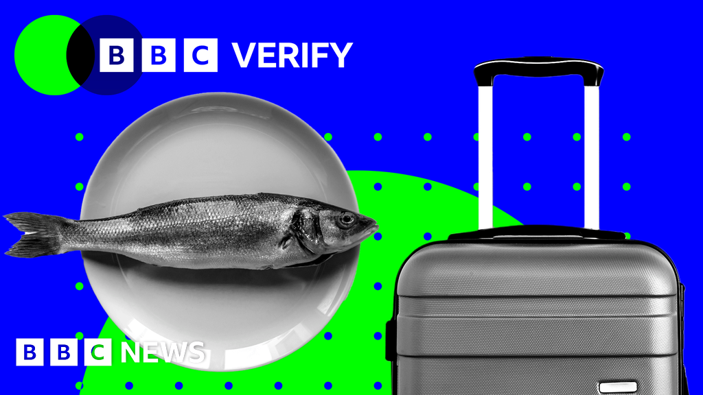Why youth mobility and fishing are key issues ahead of UK/EU summit