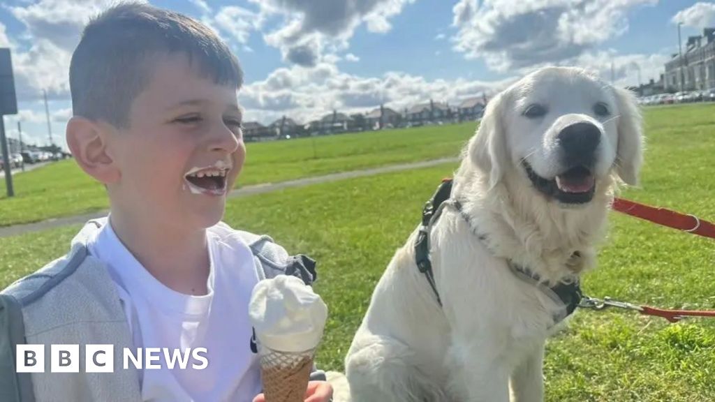 My son was killed by neighbours making cannabis. His death could have been prevented