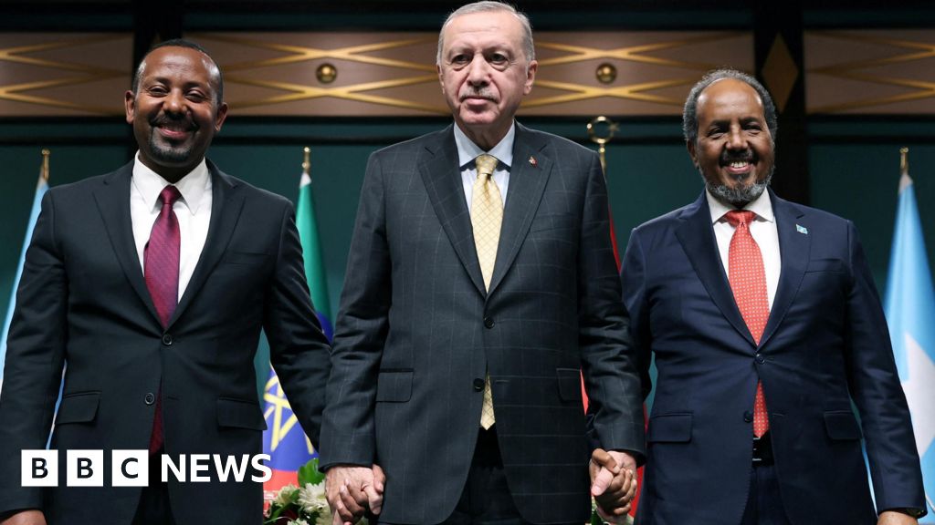 Ethiopia and Somalia succeed in deal in Turkey to finish Somaliland port feud