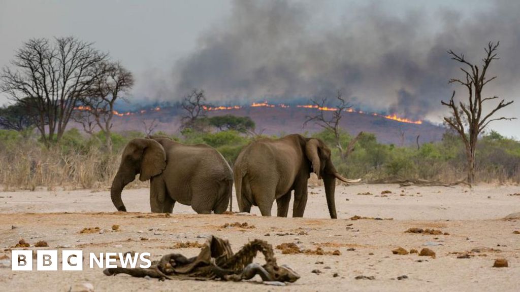 IPBES report sees climate, nature and food challenges interlinked