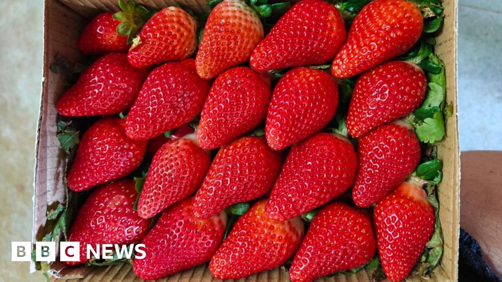 https://ichef.bbci.co.uk/news/1024/branded_news/4dc8/live/4bdd6170-7920-11f1-a627-714adb4eed6e.jpg