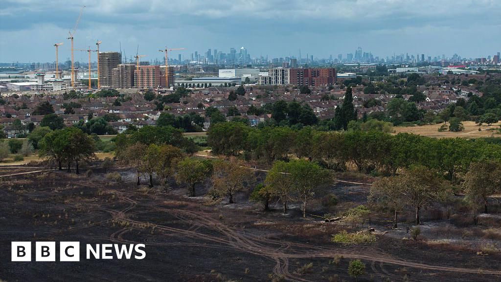 Wildfire warning issued over disposable barbecues