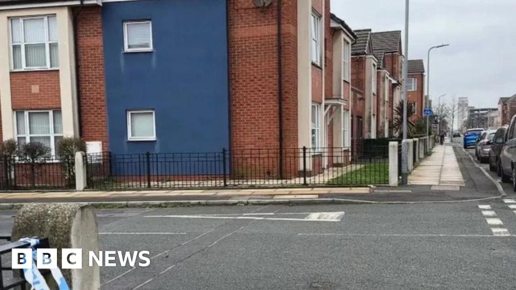 Bootle mother and son plead guilty after boy, 8, bitten by dog – BBC.com