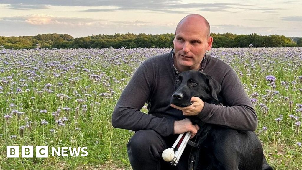 How dog walks can become deadly when the heat rises