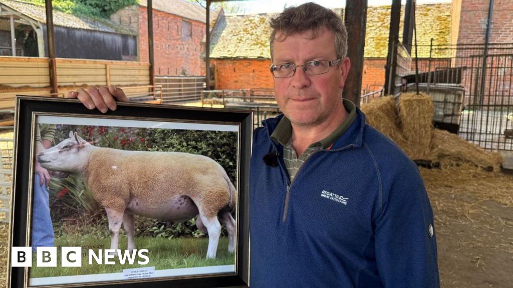 Polluted airport water 'destroyed my unborn lambs'