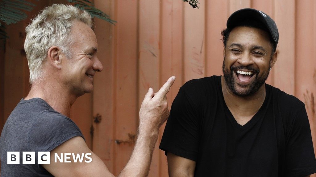 Sting and Shaggy: 'Cultural appropriation is an ugly term' - BBC