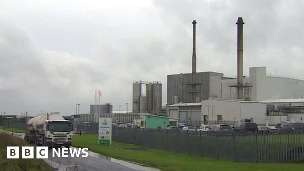 Discharge from Davidstow Cathedral City cheese factory poisoned fish