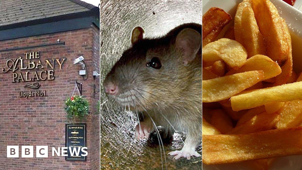 Rat in Trowbridge pub 'ran up man's leg and stole chip'