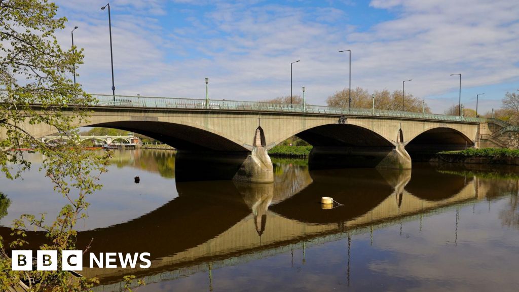 Man admits throwing kittens into River Thames