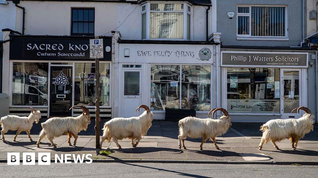 Week in pictures