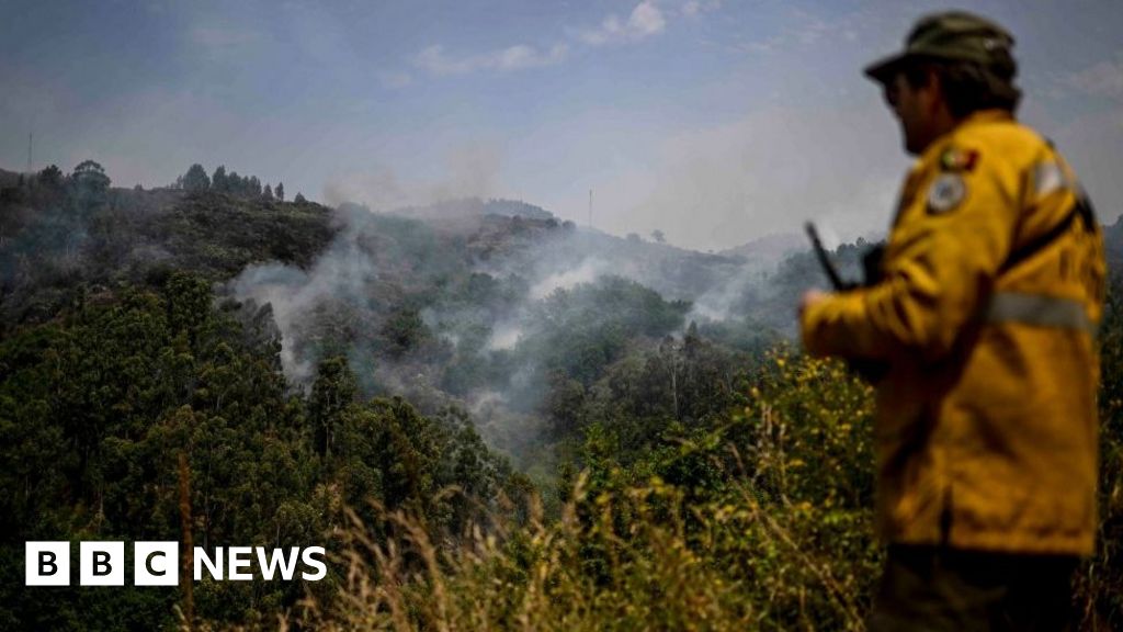 Heatwave: Wildfires spread across Europe