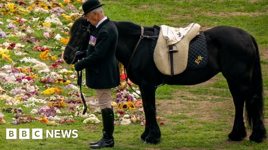 Queen's fell pony Emma named horse of a lifetime at awards