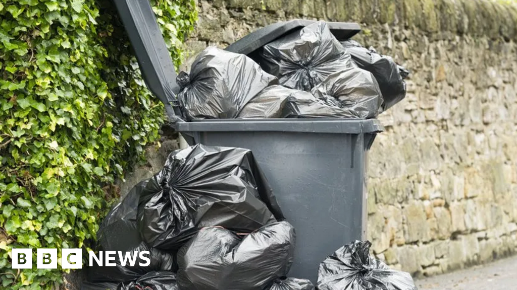 Bins: Rhondda Cynon Taf residents must leave black bags by road