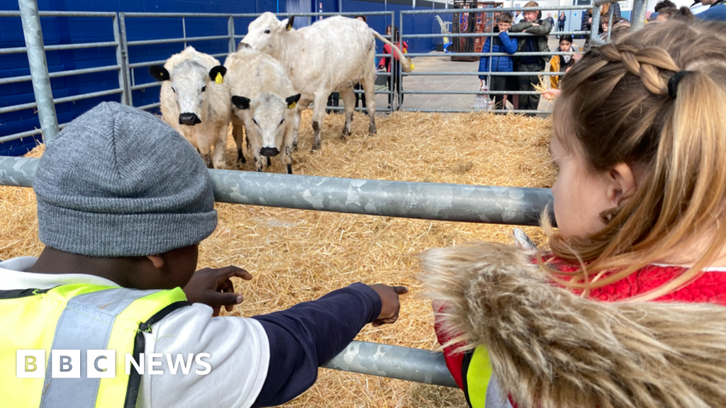 More than 1,000 pupils attend Field to Food event BBC News