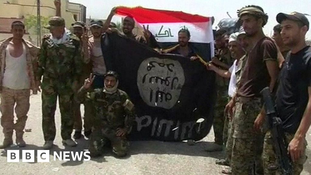 Falluja Last pocket of IS resistance 'crushed' BBC News