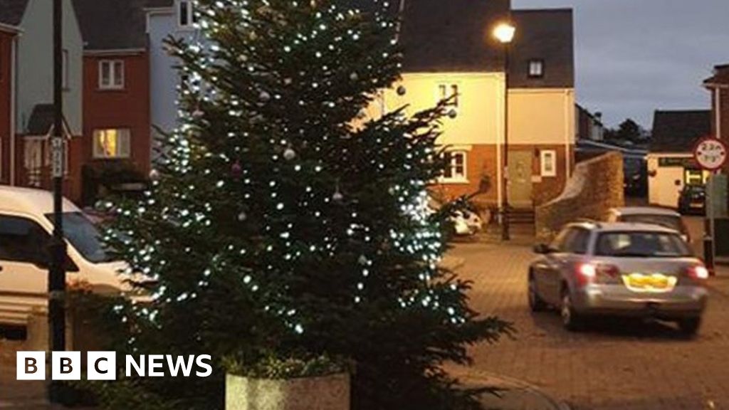 Appeal to replace 'unsafe' Dorset Christmas tree lights wiring