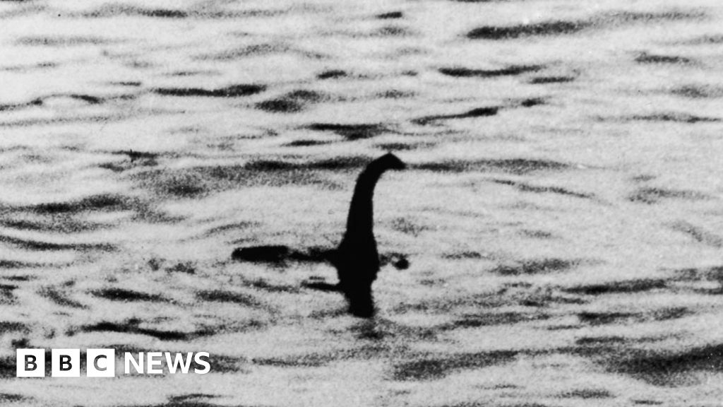 Loch Ness Monster may be a giant eel, say scientists - BBC News