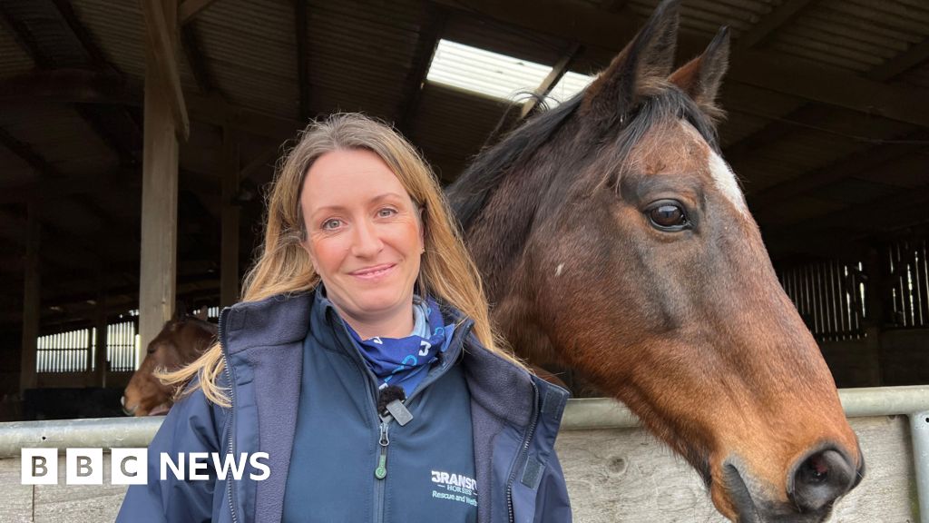bbc.co.uk - Sarah-May Buccieri - Lincoln rescue horses soothed by classical music - BBC News
