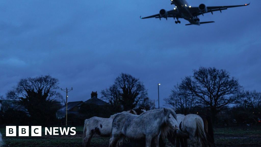 Heathrow's 'critical' expansion blueprint released