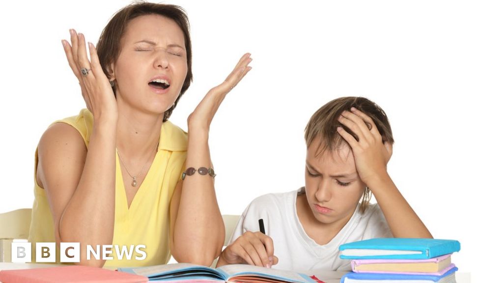 Is homework worth the hassle? - BBC News