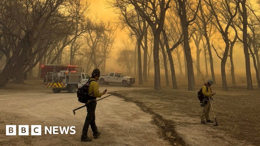 A бързо разпространяващият се горски пожар в Тексас уби един
