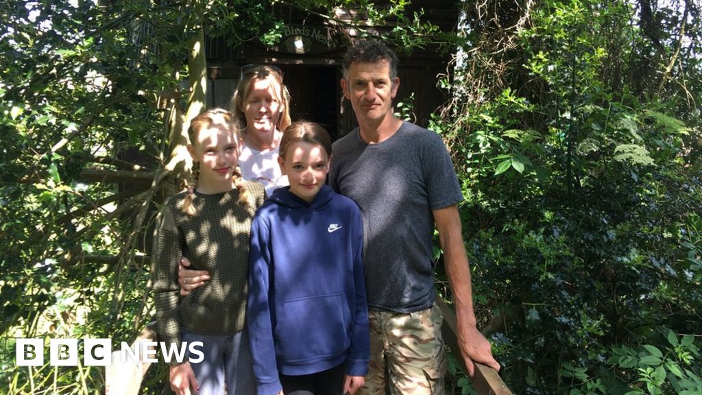 Minehead 'wildlife observation' tree house removal ordered