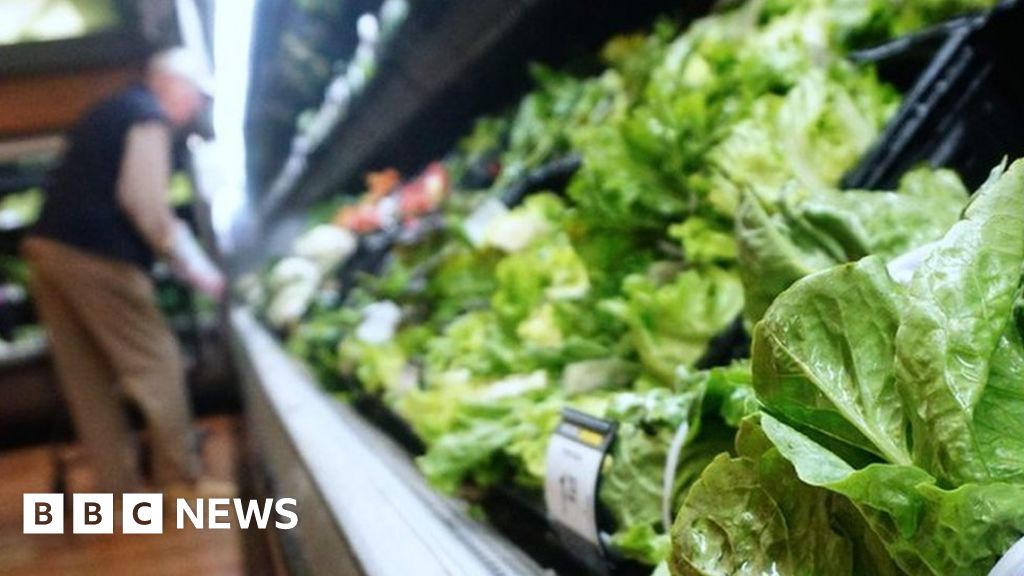 Five die in US lettuce E. coli outbreak