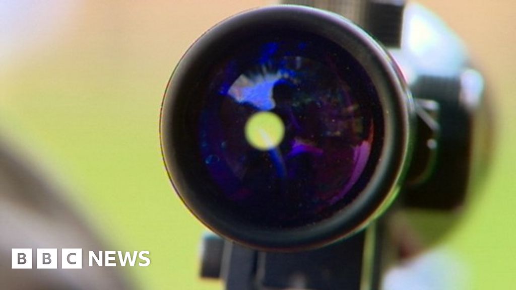 New air guns law set to be passed BBC News