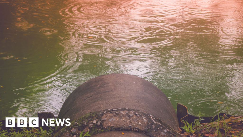 One In Five Rivers In Wales Polluted By Sewage Wwf Bbc News 