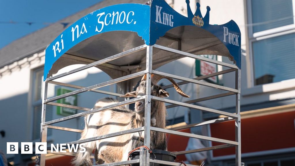 Puck Fair: Wild goat removed from festival throne amid Irish heat alert